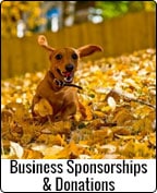 Business Sponsorships & Donations